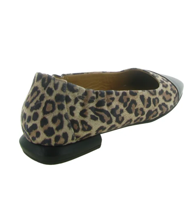 ballerines - Ballerine plate - femme - Nubuck - Léopard - Pedro miralles