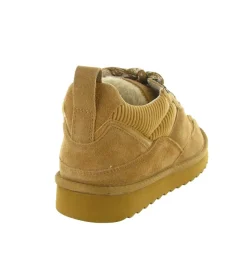baskets et sneakers - Tendance - femme - Nubuck - Marron - Colors of california