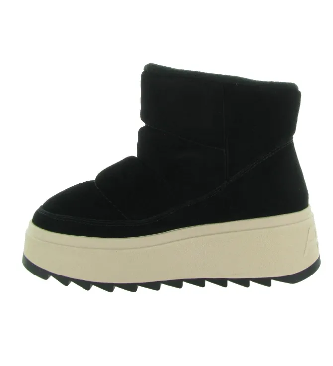 bottines et boots - Casual - femme - Nubuck - Noir - Ash italia
