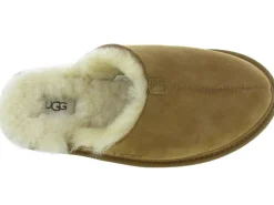 chaussons et pantoufles - Mules Sabots - homme - Nubuck - Chestnut - Ugg australia