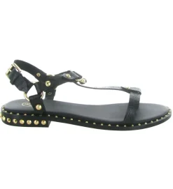 sandales et nu pieds - Casual - femme - Cuir - Noir - Ash italia